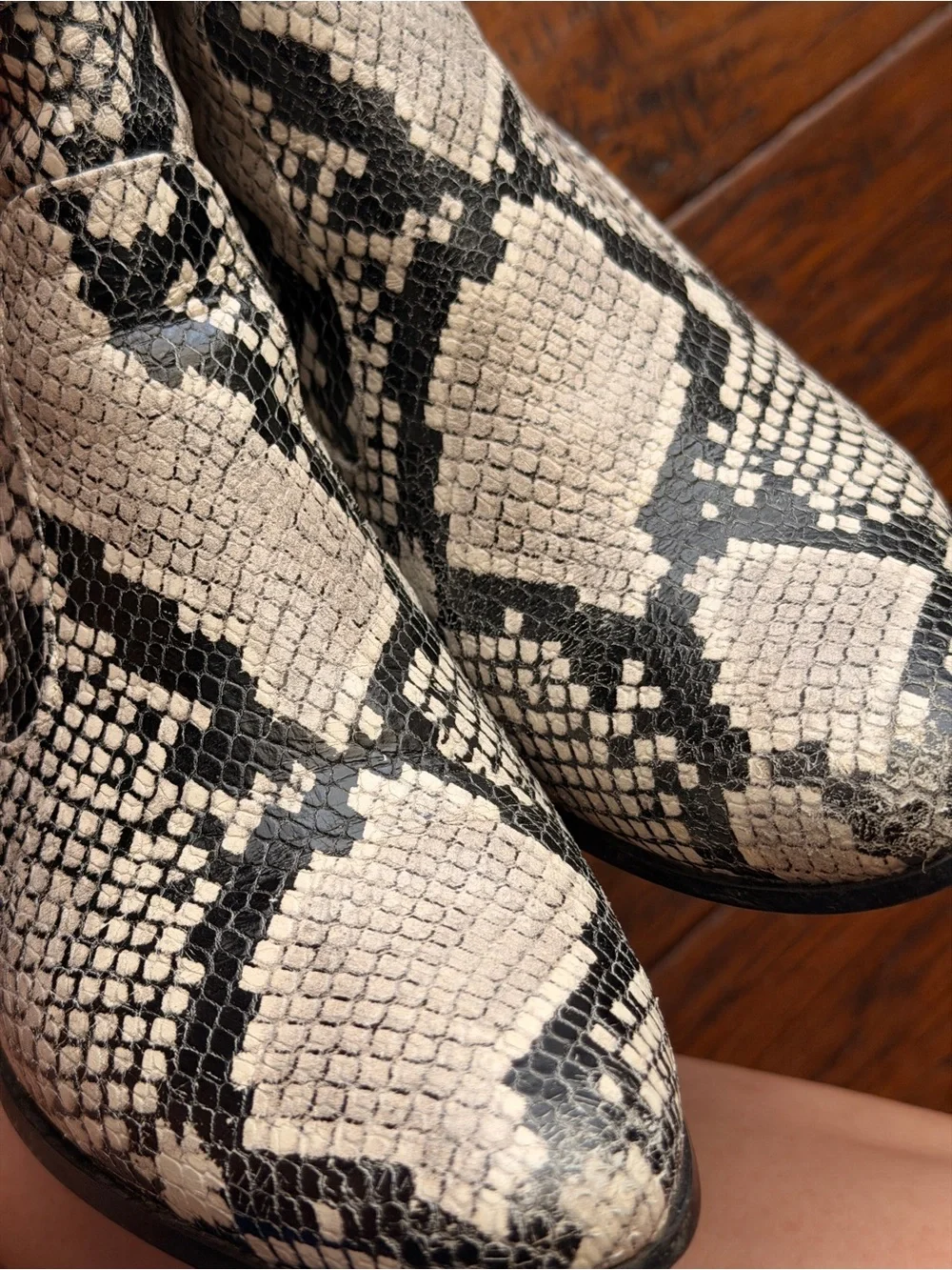 Calvin Klein Black & Ivory Snakeskin-Print Ankle Booties